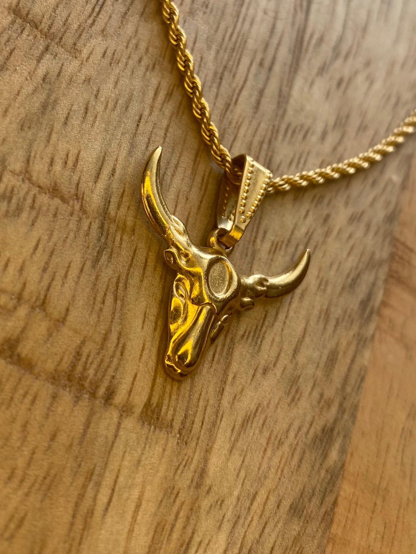 Texas Longhorn Skull Ketting – RVS Goud of Zilver