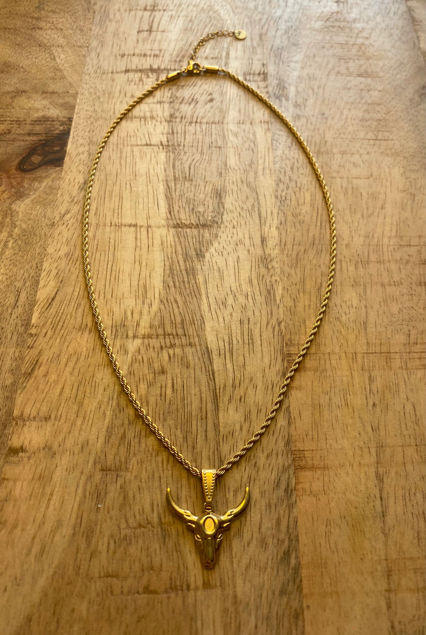 Texas Longhorn Skull Ketting – RVS Goud of Zilver